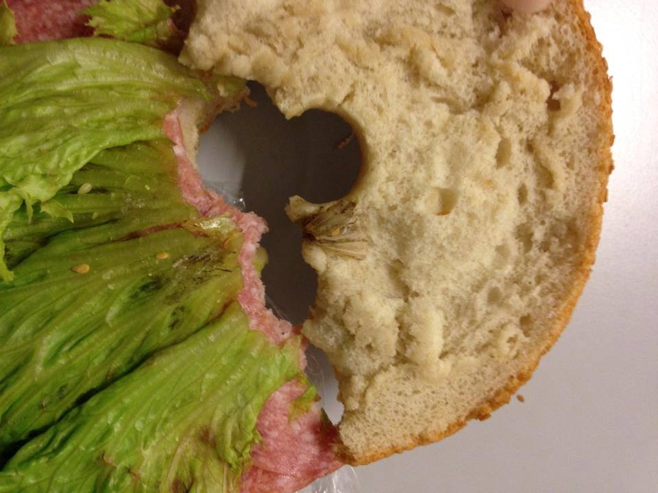 Leicht zu übersehen: Ein Käfer im Sandwich. 