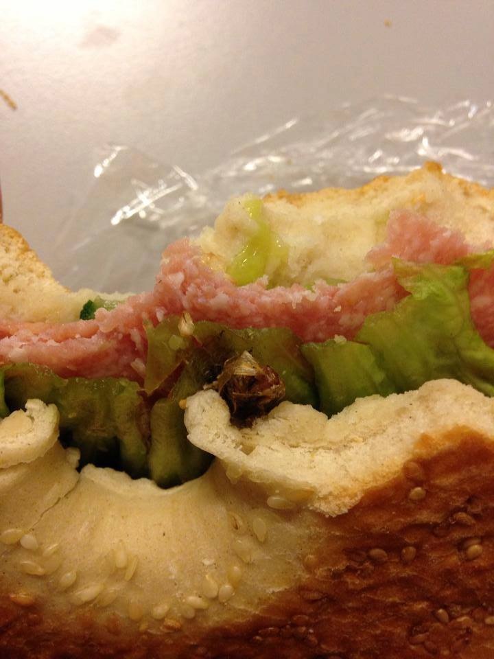 Ein insekt im Sandwich