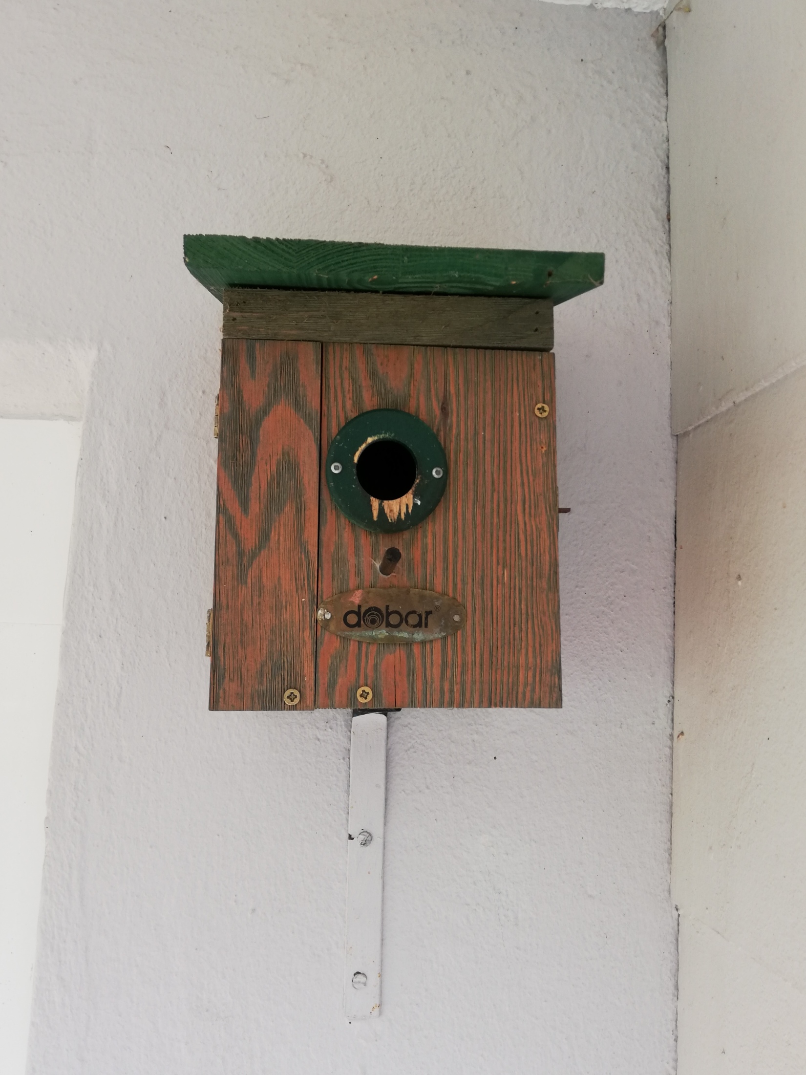 Wohnsinn-Kolumne: Sturmfrei im Vogelhaus