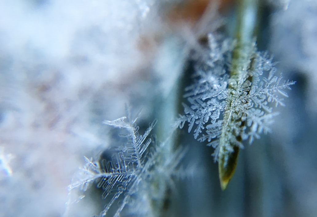 Schneeflocke – Ein Winter-Gedicht