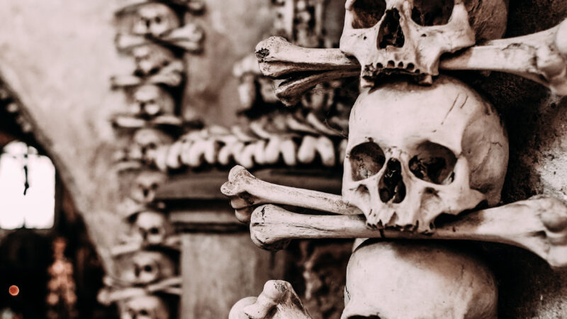 »Bones and All«: Humanismus im Gewand des Kannibalen